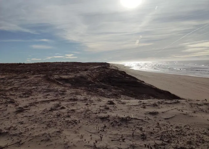 La Parenthese Landaise -maison 8 Pers Jardin